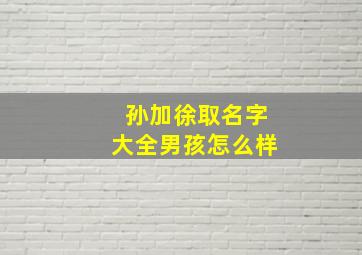 孙加徐取名字大全男孩怎么样