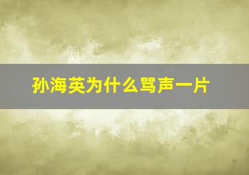 孙海英为什么骂声一片