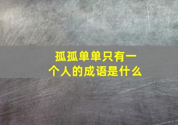 孤孤单单只有一个人的成语是什么