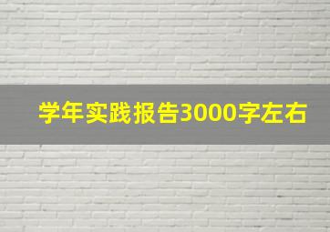 学年实践报告3000字左右