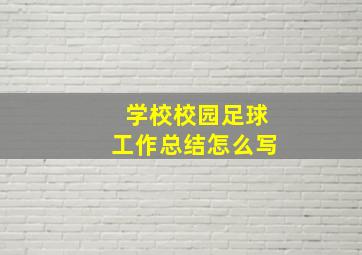 学校校园足球工作总结怎么写