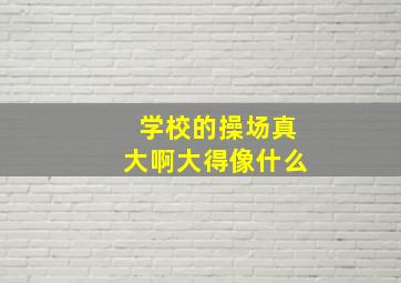 学校的操场真大啊大得像什么