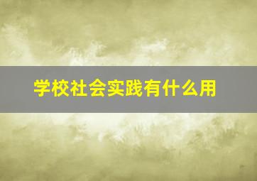 学校社会实践有什么用