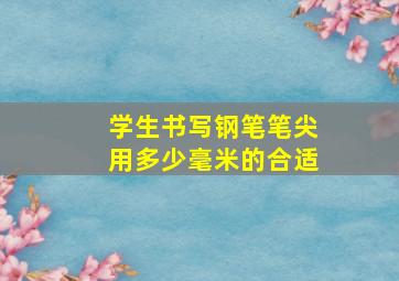 学生书写钢笔笔尖用多少毫米的合适