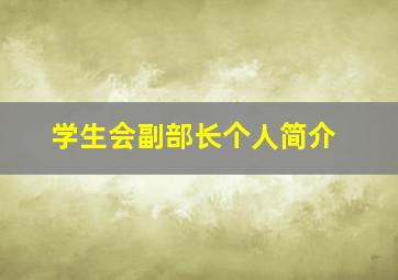 学生会副部长个人简介