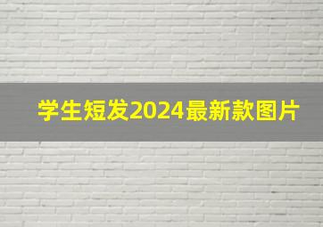 学生短发2024最新款图片