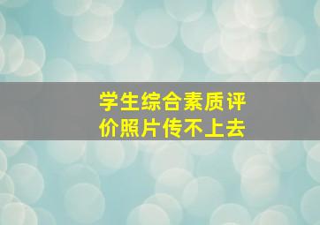 学生综合素质评价照片传不上去