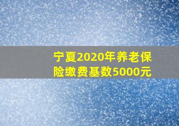 宁夏2020年养老保险缴费基数5000元