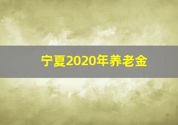 宁夏2020年养老金