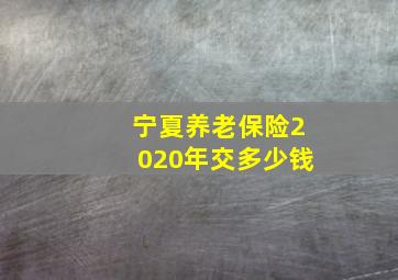 宁夏养老保险2020年交多少钱