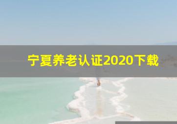 宁夏养老认证2020下载