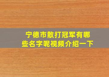 宁德市散打冠军有哪些名字呢视频介绍一下