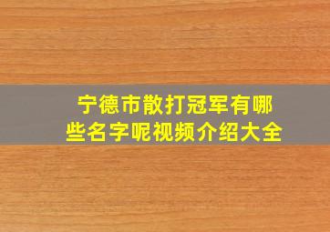 宁德市散打冠军有哪些名字呢视频介绍大全