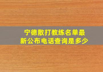 宁德散打教练名单最新公布电话查询是多少