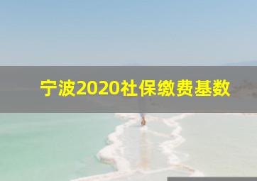 宁波2020社保缴费基数