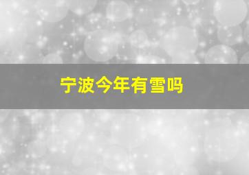 宁波今年有雪吗