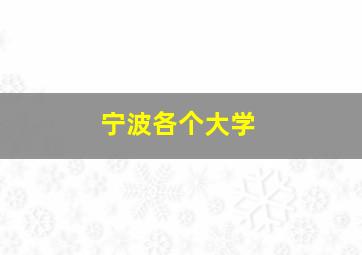 宁波各个大学