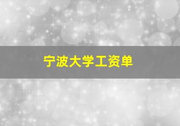 宁波大学工资单