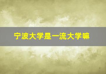 宁波大学是一流大学嘛