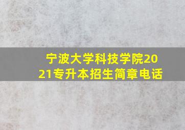 宁波大学科技学院2021专升本招生简章电话