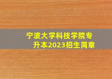 宁波大学科技学院专升本2023招生简章