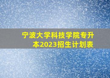 宁波大学科技学院专升本2023招生计划表