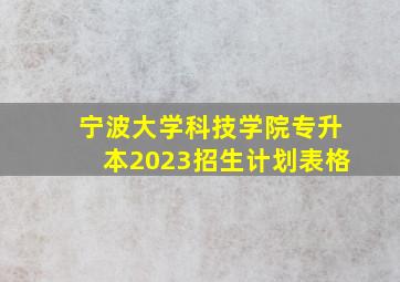 宁波大学科技学院专升本2023招生计划表格