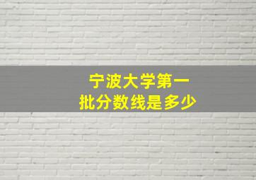 宁波大学第一批分数线是多少