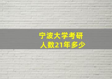 宁波大学考研人数21年多少