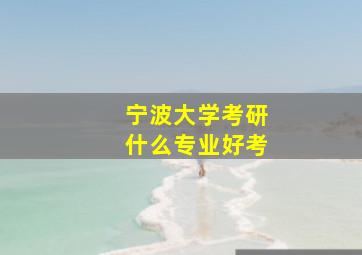 宁波大学考研什么专业好考