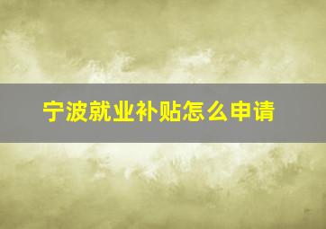 宁波就业补贴怎么申请