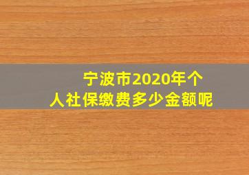 宁波市2020年个人社保缴费多少金额呢