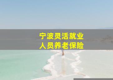 宁波灵活就业人员养老保险