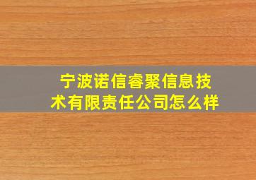 宁波诺信睿聚信息技术有限责任公司怎么样