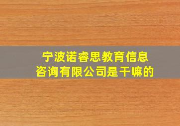 宁波诺睿思教育信息咨询有限公司是干嘛的