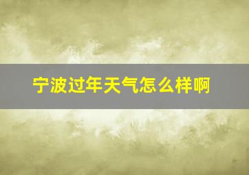 宁波过年天气怎么样啊