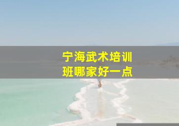 宁海武术培训班哪家好一点