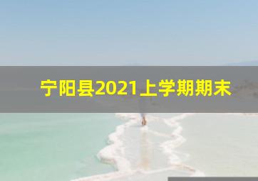 宁阳县2021上学期期末