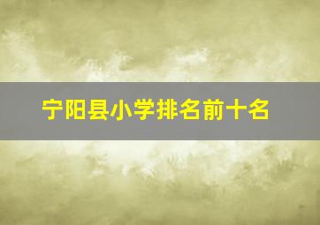 宁阳县小学排名前十名