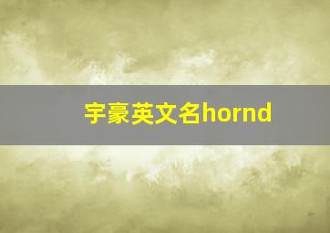 宇豪英文名hornd