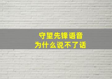 守望先锋语音为什么说不了话