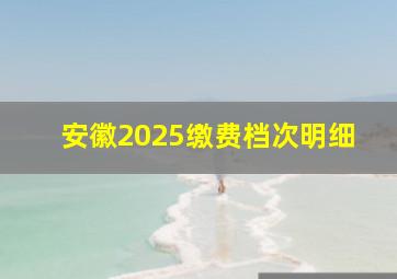 安徽2025缴费档次明细