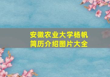 安徽农业大学杨帆简历介绍图片大全