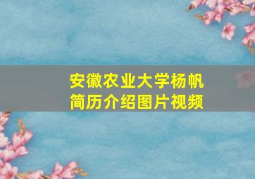 安徽农业大学杨帆简历介绍图片视频