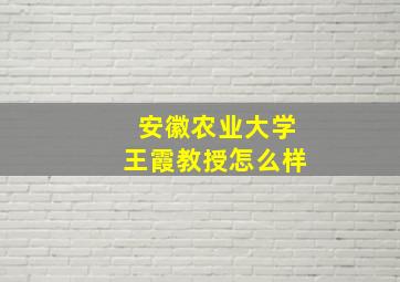 安徽农业大学王霞教授怎么样