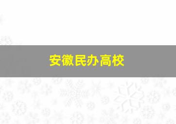 安徽民办高校