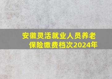 安徽灵活就业人员养老保险缴费档次2024年