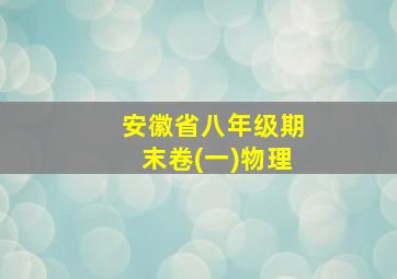 安徽省八年级期末卷(一)物理