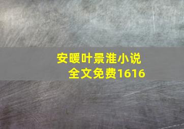 安暖叶景淮小说全文免费1616