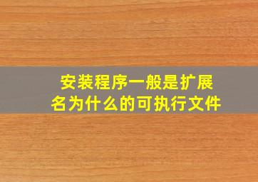 安装程序一般是扩展名为什么的可执行文件